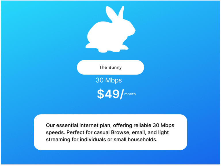 The Bunny internet plan from Jack Rabbit Go offering 30 Mbps speed for $49 per month. Ideal for casual browsing and light streaming.