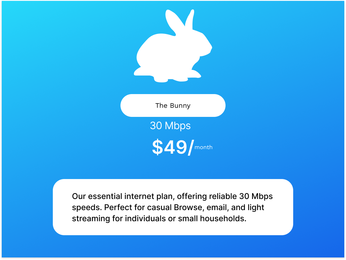The Bunny internet plan from Jack Rabbit Go offering 30 Mbps speed for $49 per month. Ideal for casual browsing and light streaming.